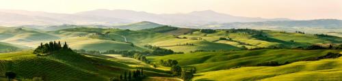 Beautiful and miraculous colors of green spring panorama landsca